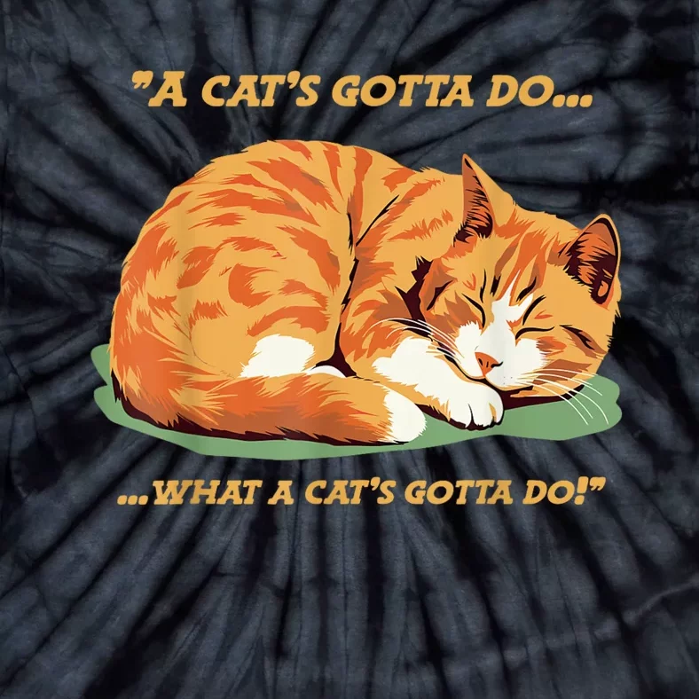 Cat Lover Sleeping Cat A Cats Gotta Do Funny Cat Saying Tie-Dye T-Shirt