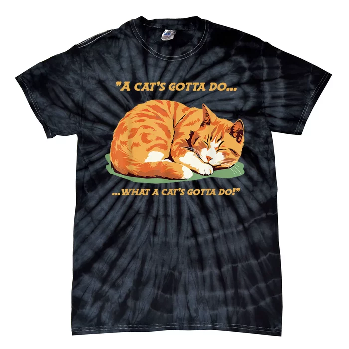 Cat Lover Sleeping Cat A Cats Gotta Do Funny Cat Saying Tie-Dye T-Shirt