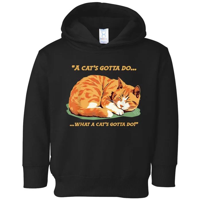 Cat Lover Sleeping Cat A Cats Gotta Do Funny Cat Saying Toddler Hoodie