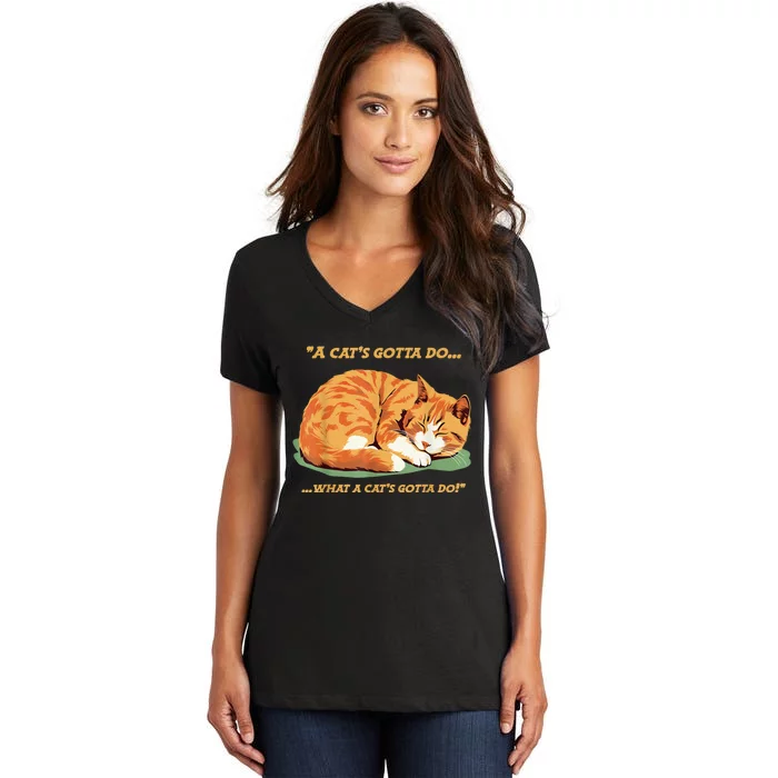 Cat Lover Sleeping Cat A Cats Gotta Do Funny Cat Saying Women's V-Neck T-Shirt