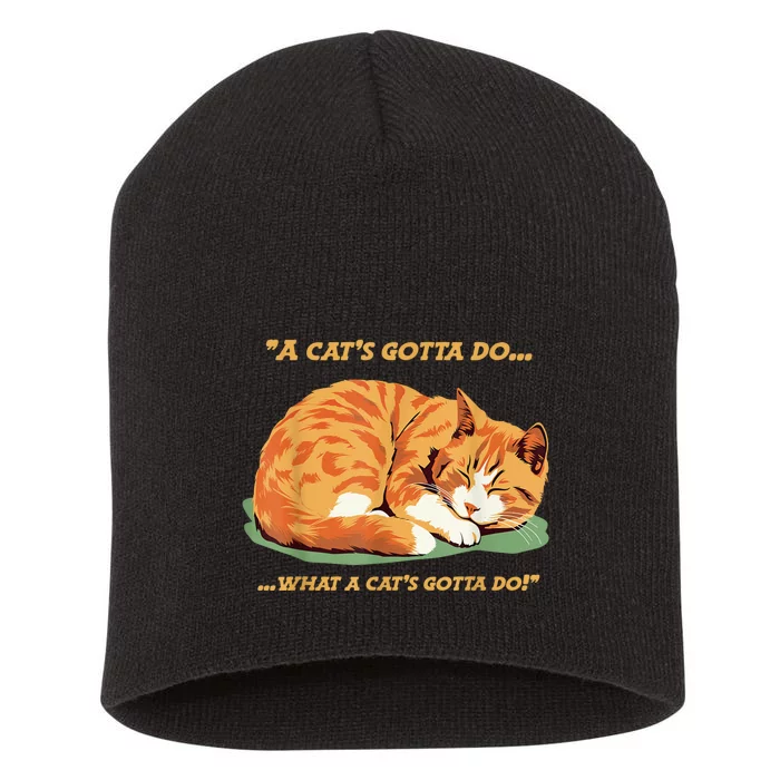 Cat Lover Sleeping Cat A Cats Gotta Do Funny Cat Saying Short Acrylic Beanie