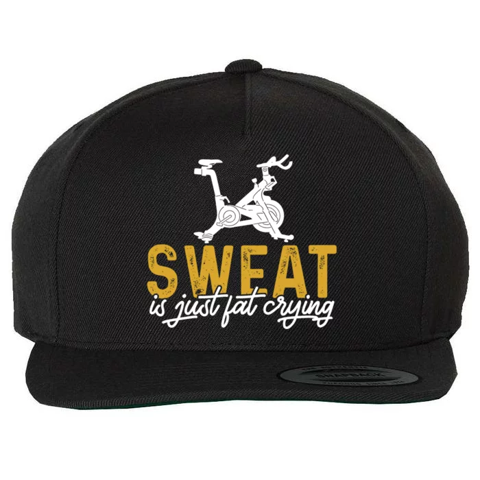 Cycling Lover Sweat Is Just Fat Crying Spinning Cycling Gift Wool Snapback Cap