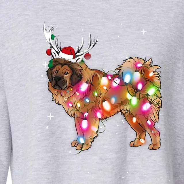 Christmas Lights Tibetan Mastiff Dog Cropped Pullover Crew