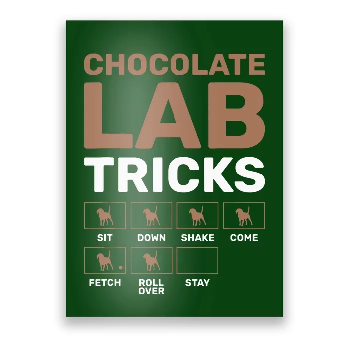 Chocolate Lab Tricks Black Labrador Poster