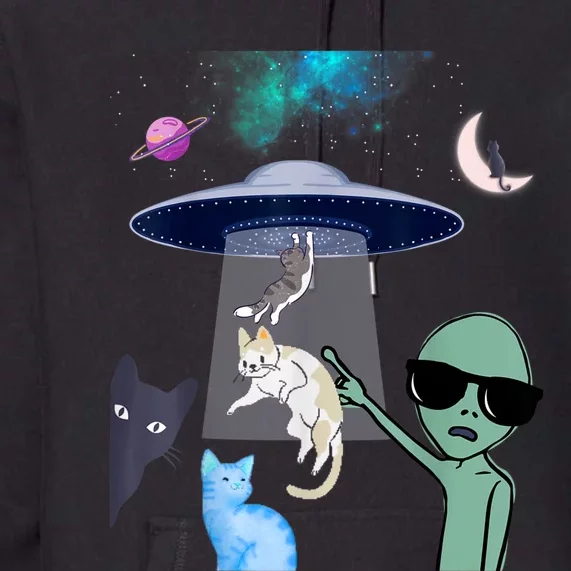 Cat Lovers UFO Space Abduction Of Cats By Aliens Design Premium Hoodie