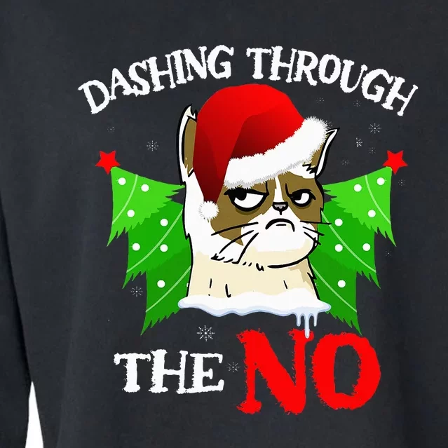 Cat Lover Xmas Dashing Through Grumpy Cats The No Christmas Cropped Pullover Crew