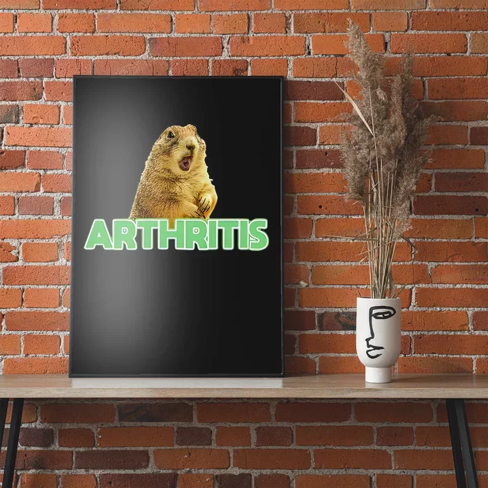 Cynomys Mexicanus Arthritis Poster