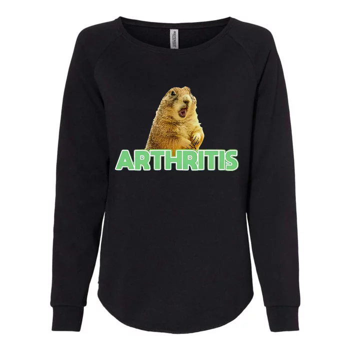 Cynomys Mexicanus Arthritis Womens California Wash Sweatshirt