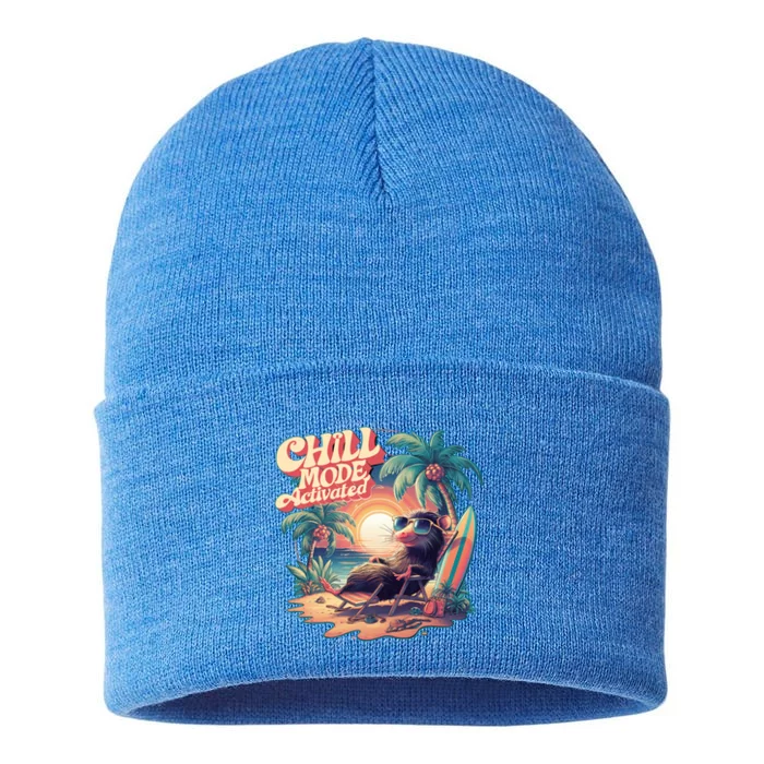 Chill Mode Activated Funny Possum Eat Trash Vacay Vibe Gift Sustainable Knit Beanie