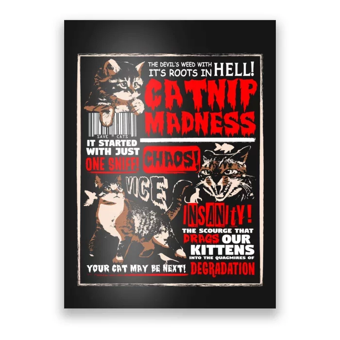 Catnip Madness Cute Kitten Cat Lover Gift For Cat Owners Poster