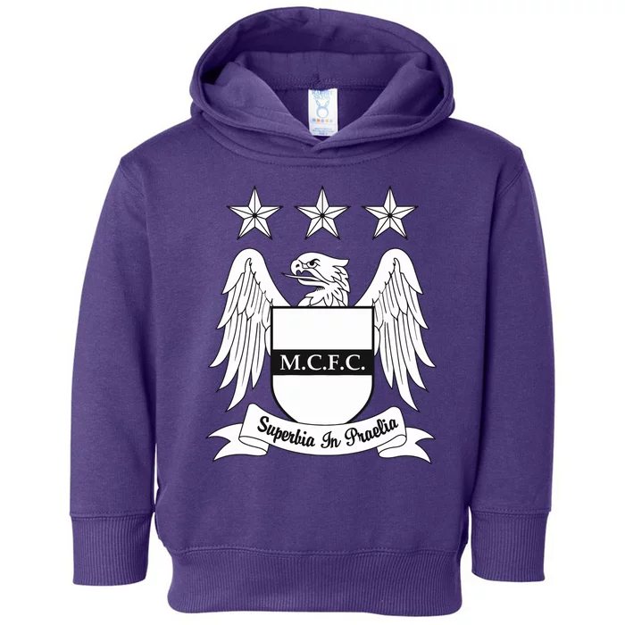 Cool Man City Slogan Eagle With Stars Toddler Hoodie