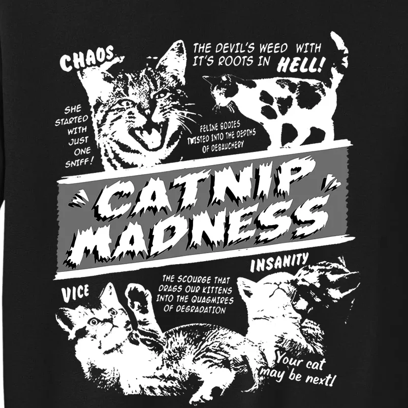 Catnip Madness Cute Kitten Funny Cat Pet Humor Tall Sweatshirt