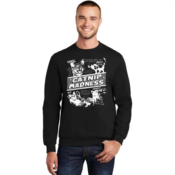 Catnip Madness Cute Kitten Funny Cat Pet Humor Sweatshirt