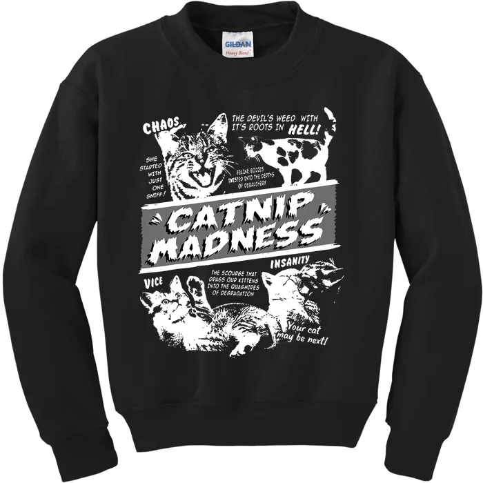 Catnip Madness Cute Kitten Funny Cat Pet Humor Kids Sweatshirt