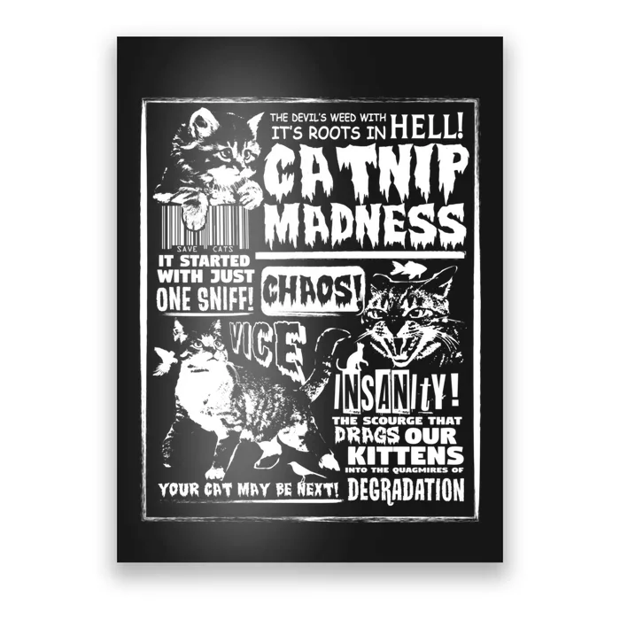 Catnip Madness Cute Kitten Cat Lover Gift For Cat Owners Poster