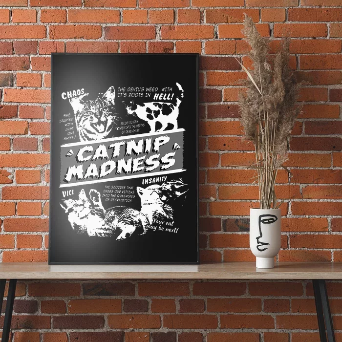 Catnip Madness Cute Kitten Poster