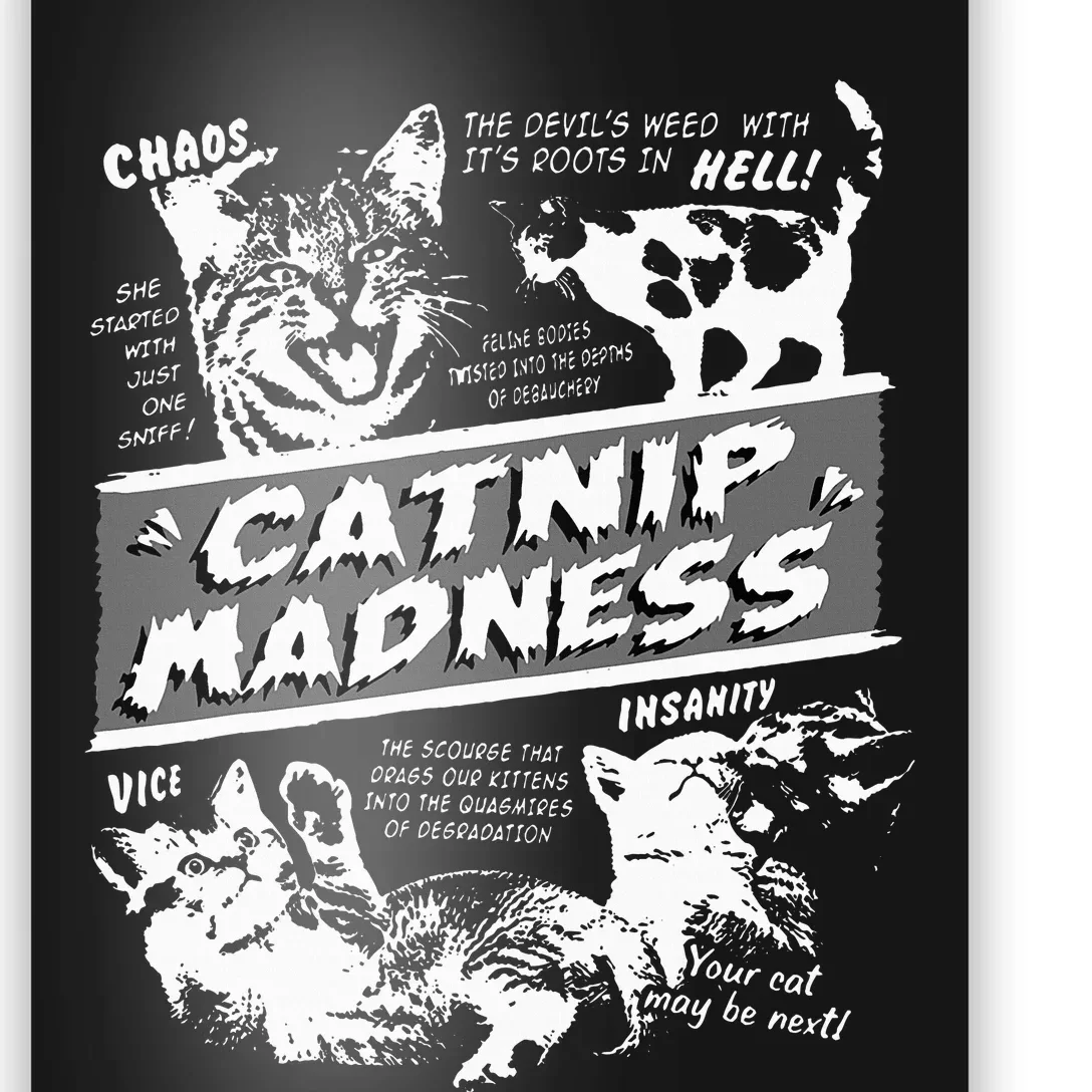 Catnip Madness Cute Kitten Poster