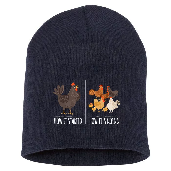 Chicken Meme Farm Hen Pun For Chicken Lovers Short Acrylic Beanie