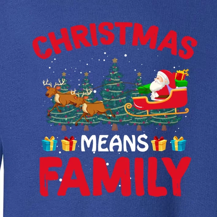 Christmas Means Family Meaningful Gift Toddler Sweatshirt