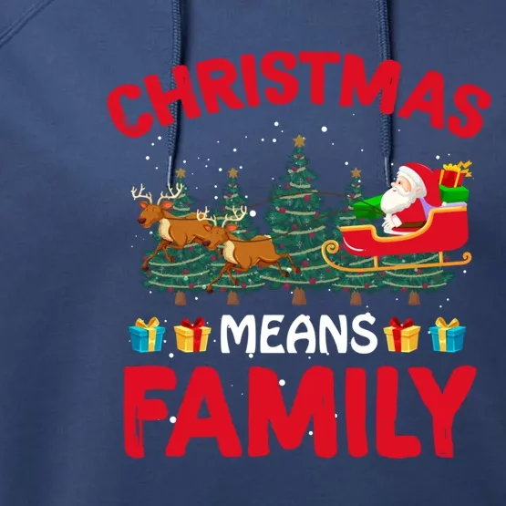 Christmas Means Family Meaningful Gift Performance Fleece Hoodie