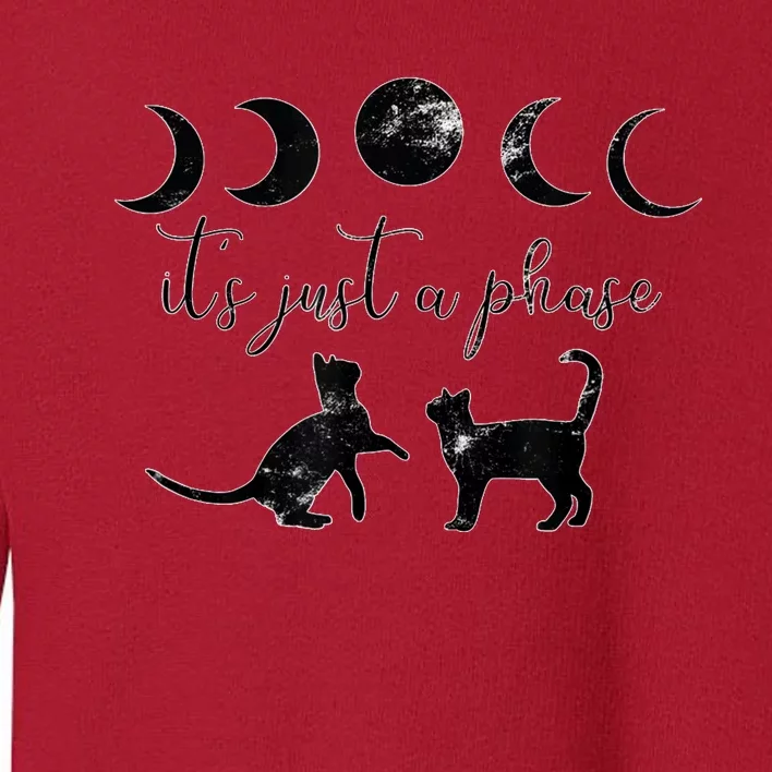 Cats Motif Funny Fun Retro Moon Quote Its Just A Phase Toddler Sweatshirt