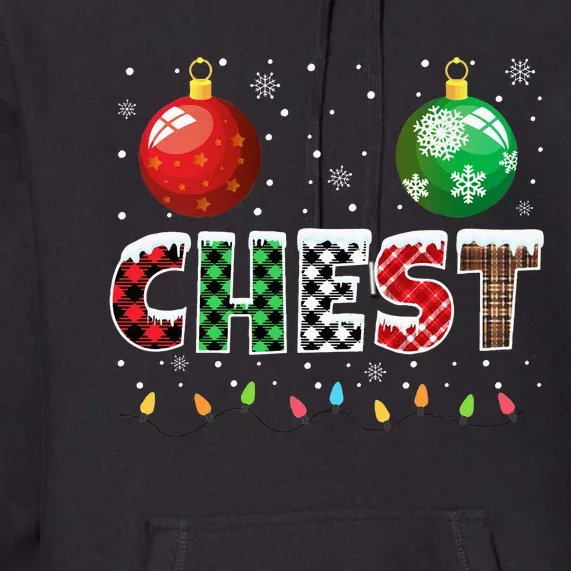 Chestnuts Matching Family Funny Chest Nuts Christmas Couples Premium Hoodie