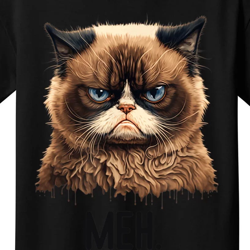 Cat Meh Funny Cat Lover Kitten Quotes Women Kids T-Shirt