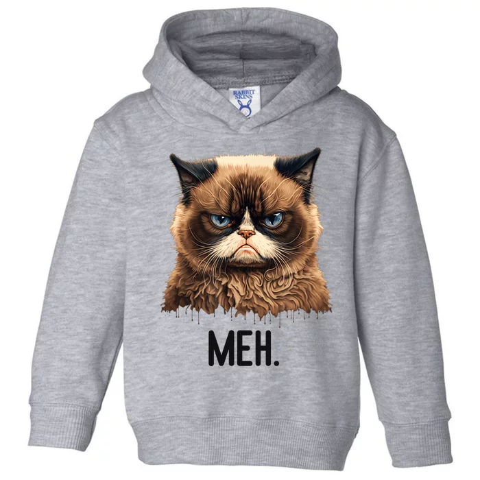 Cat Meh Funny Cat Lover Kitten Quotes Women Toddler Hoodie