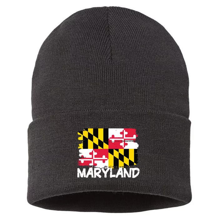 Cool Maryland Flag Sustainable Knit Beanie