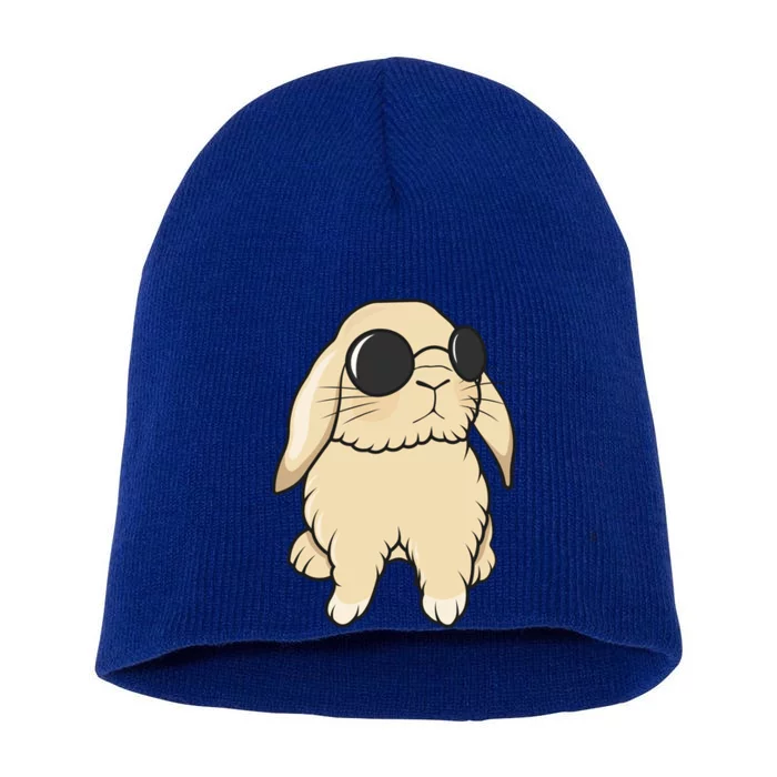 Cute Mini Holland Lop Bunny Rabbit Lover Sunglasses Easter Gift Short Acrylic Beanie