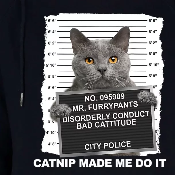 Catnip Made Me Do It Funny Cat Tee Womens Funnel Neck Pullover Hood