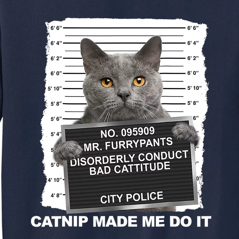 Catnip Made Me Do It Funny Cat Tee Tall Sweatshirt