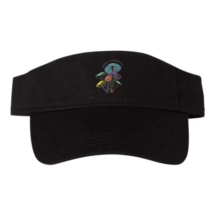 Colourful Mushrooms Of Imagination Valucap Bio-Washed Visor