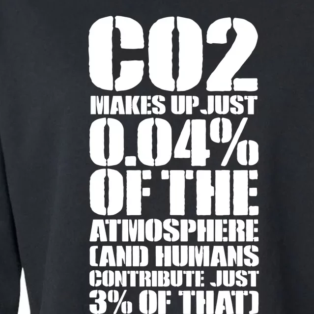 Co2 Makes Up Just 004 Of The Atmosphere Cropped Pullover Crew