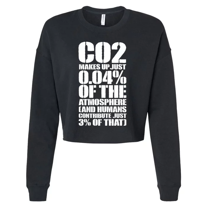 Co2 Makes Up Just 004 Of The Atmosphere Cropped Pullover Crew