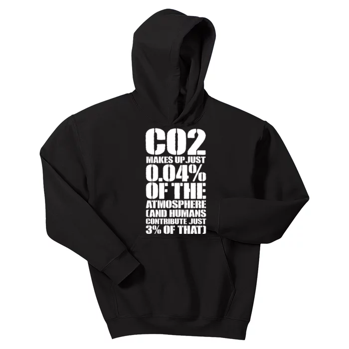 Co2 Makes Up Just 004 Of The Atmosphere Kids Hoodie