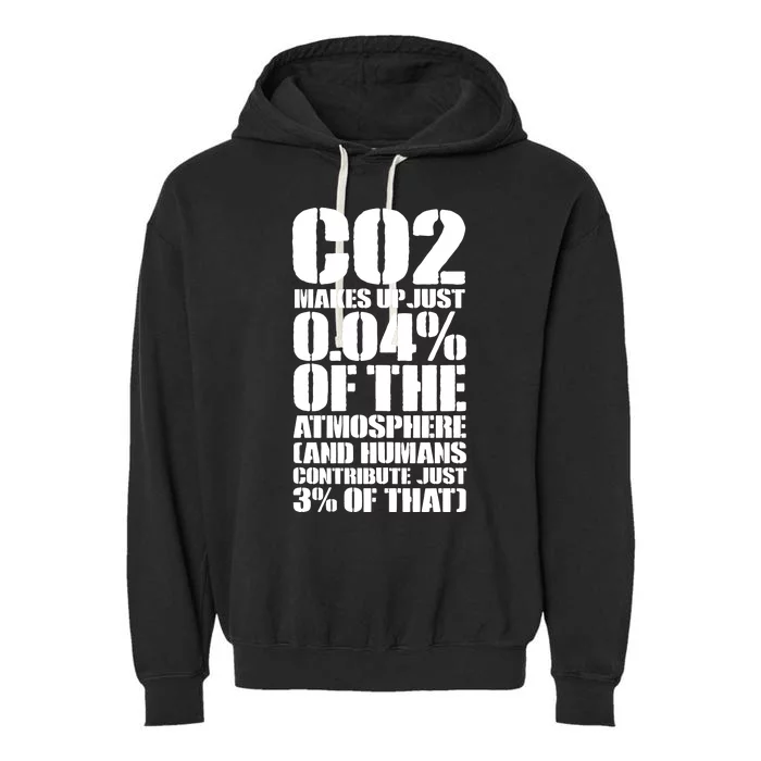 Co2 Makes Up Just 004 Of The Atmosphere Garment-Dyed Fleece Hoodie