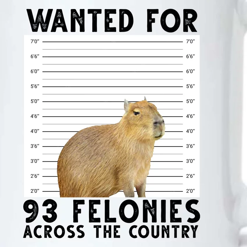 Capybara Mugshot Wanted For 93 Felonies Across The Country Black Color Changing Mug