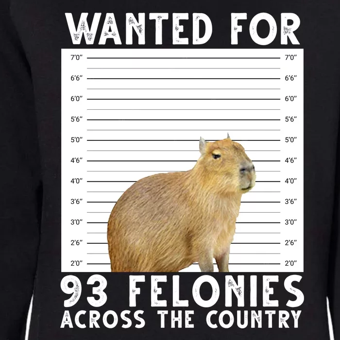 Capybara Mugshot Wanted For 93 Felonies Across The Country Womens California Wash Sweatshirt