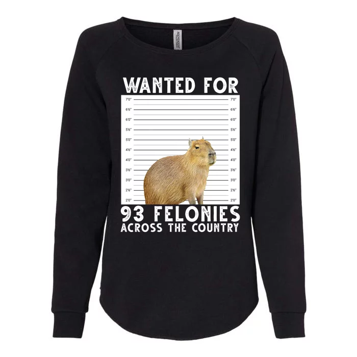 Capybara Mugshot Wanted For 93 Felonies Across The Country Womens California Wash Sweatshirt