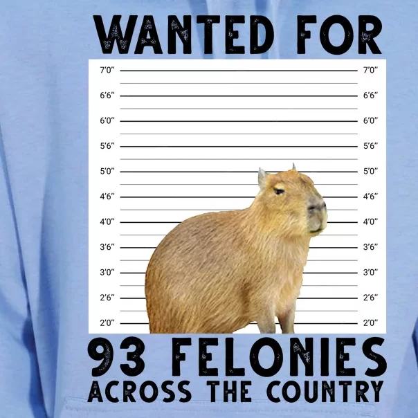 Capybara Mugshot Wanted For 93 Felonies Across The Country Unisex Surf Hoodie