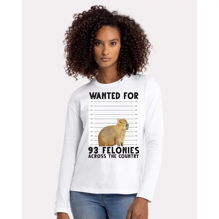 Capybara Mugshot Wanted For 93 Felonies Across The Country Womens Cotton Relaxed Long Sleeve T-Shirt