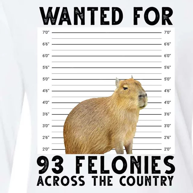 Capybara Mugshot Wanted For 93 Felonies Across The Country Womens Cotton Relaxed Long Sleeve T-Shirt