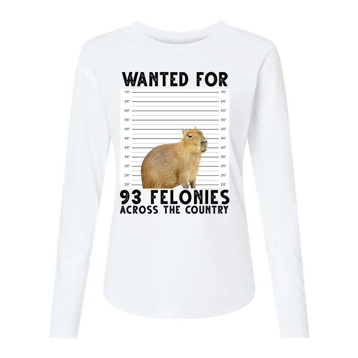 Capybara Mugshot Wanted For 93 Felonies Across The Country Womens Cotton Relaxed Long Sleeve T-Shirt