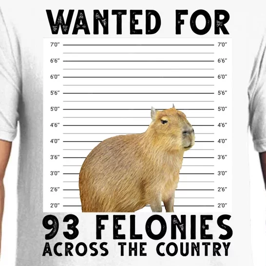 Capybara Mugshot Wanted For 93 Felonies Across The Country Pajama Set