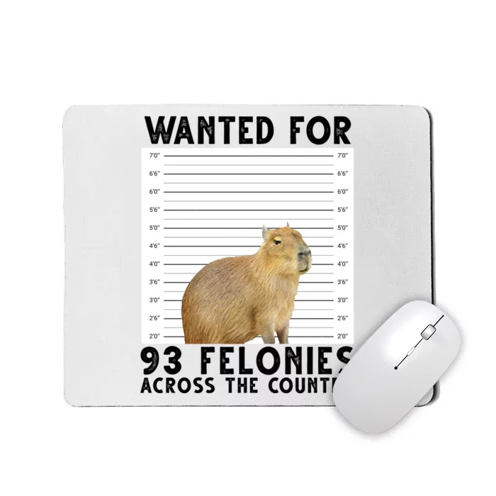 Capybara Mugshot Wanted For 93 Felonies Across The Country Mousepad