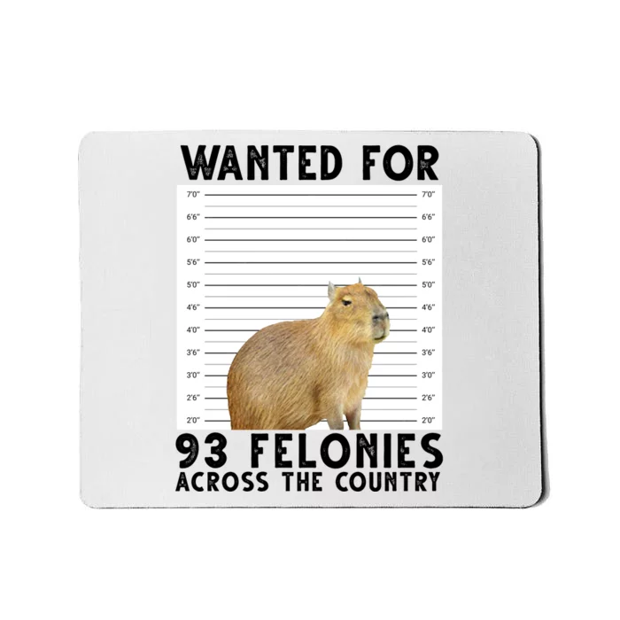 Capybara Mugshot Wanted For 93 Felonies Across The Country Mousepad