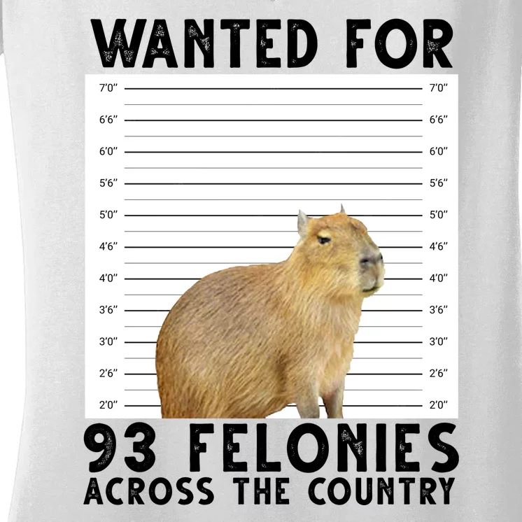 Capybara Mugshot Wanted For 93 Felonies Across The Country Women's V-Neck T-Shirt