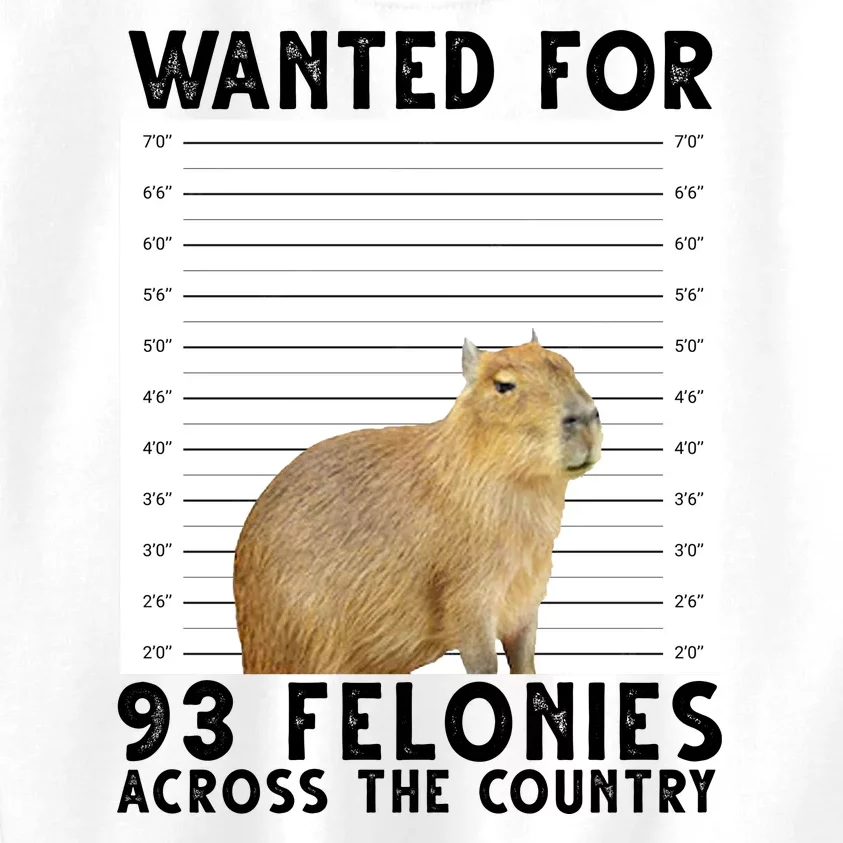 Capybara Mugshot Wanted For 93 Felonies Across The Country Kids Sweatshirt