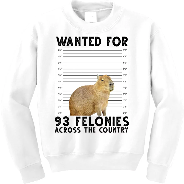 Capybara Mugshot Wanted For 93 Felonies Across The Country Kids Sweatshirt